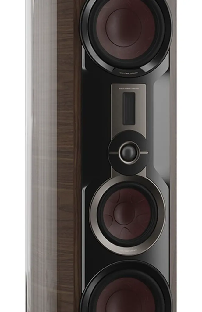 Dali Epikore 11 16.webp