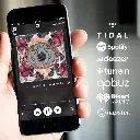 Audio Pro Link 1 8.webp