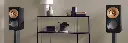 S-RF1 3.webp