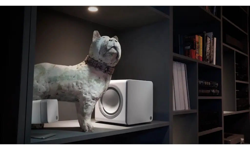 Cambridge Audio Minx X201  11.webp
