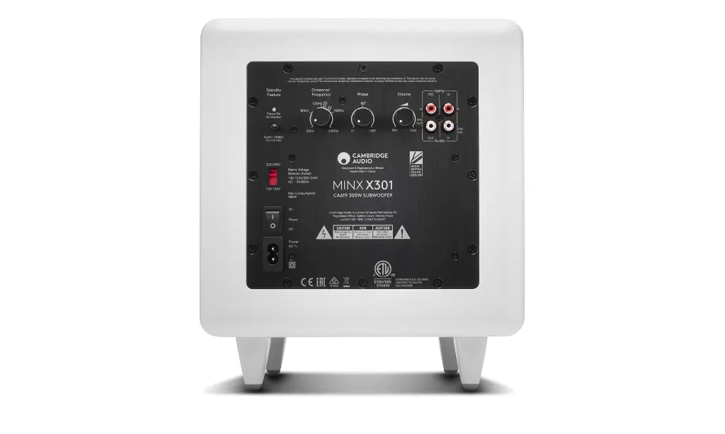 Cambridge Audio Minx X301 9.webp