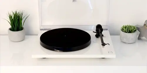 REGA PLANAR 1 PLUS 19.webp