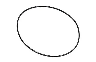 REGA Reference EBLT Drive Belt 2.webp