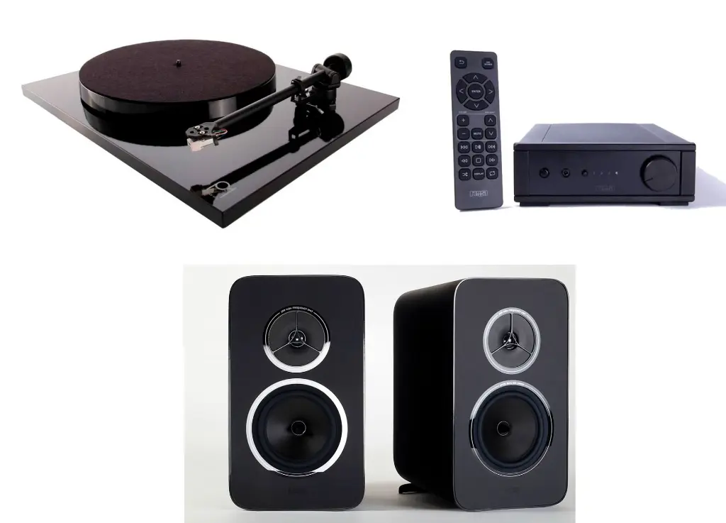 REGA SYSTEM ONE 1.webp