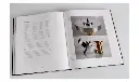 REGA  ACC REGA BOOK 8.webp