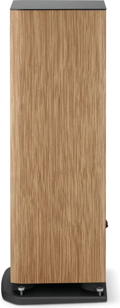 Focal Aria Evo X N2 17.webp