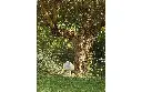 LITTORA 200 OD SAT 5   11.webp