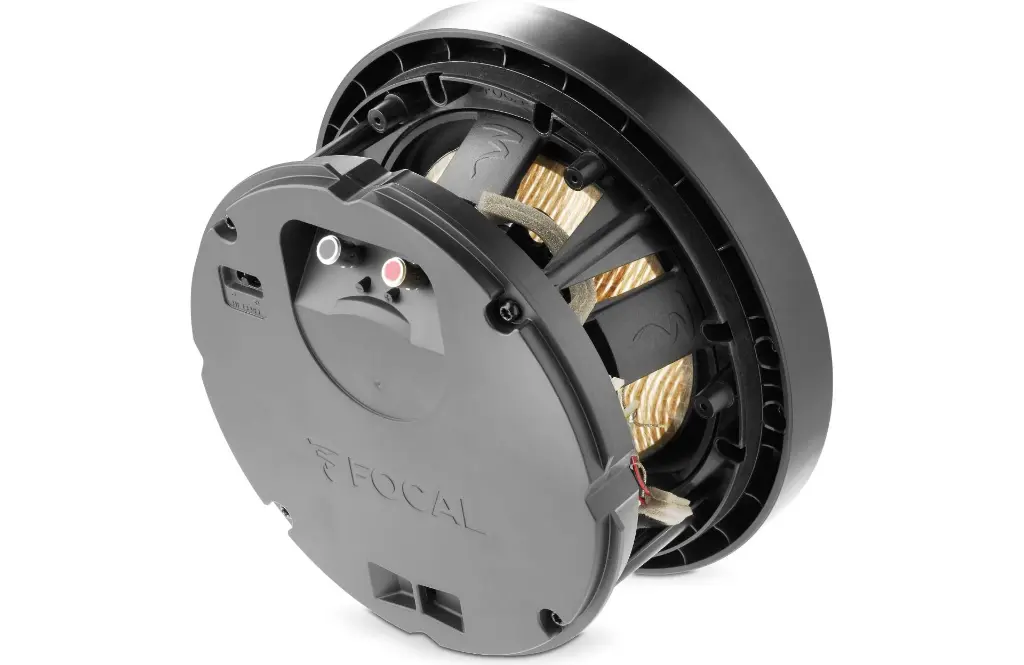 Focal 300 ICW 8  4.webp