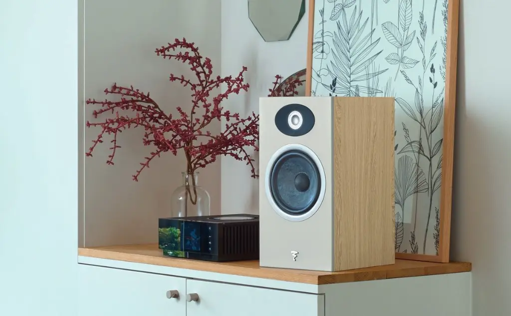 Focal Theva N1 (2 Uni.) 22.webp