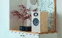Focal Theva N1 (2 Uni.) 22.webp