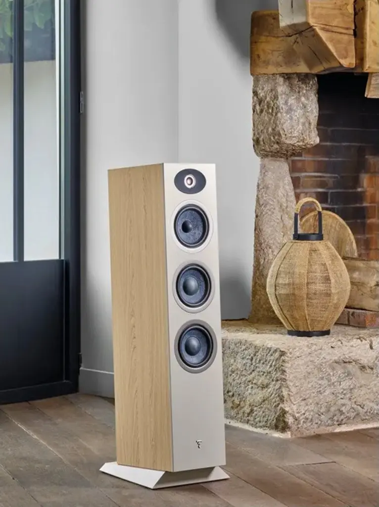 Focal Theva N2 18.webp