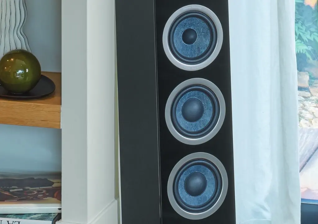 Focal Theva N2 21.webp