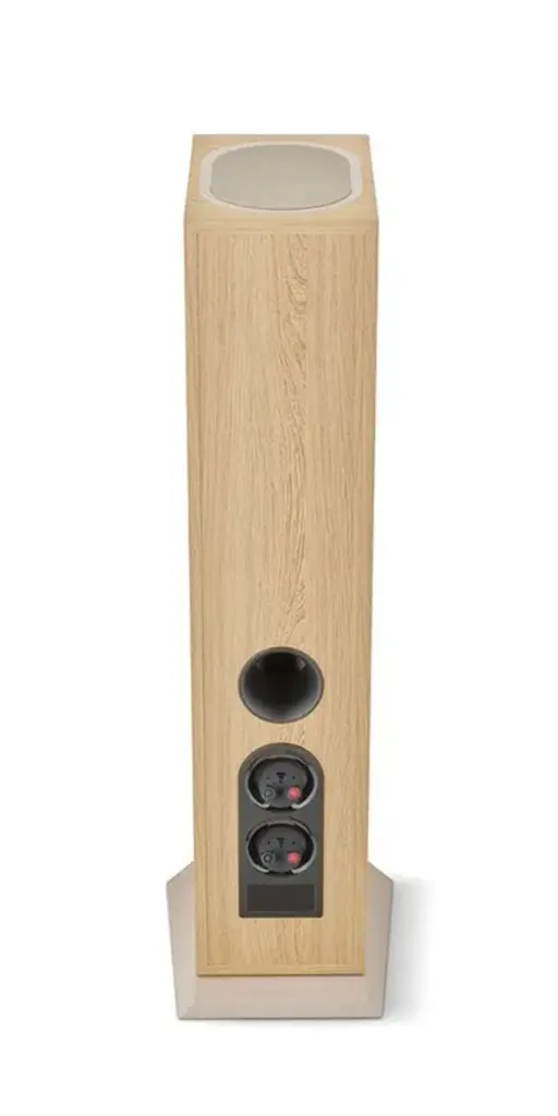 Focal Theva N3 16.webp