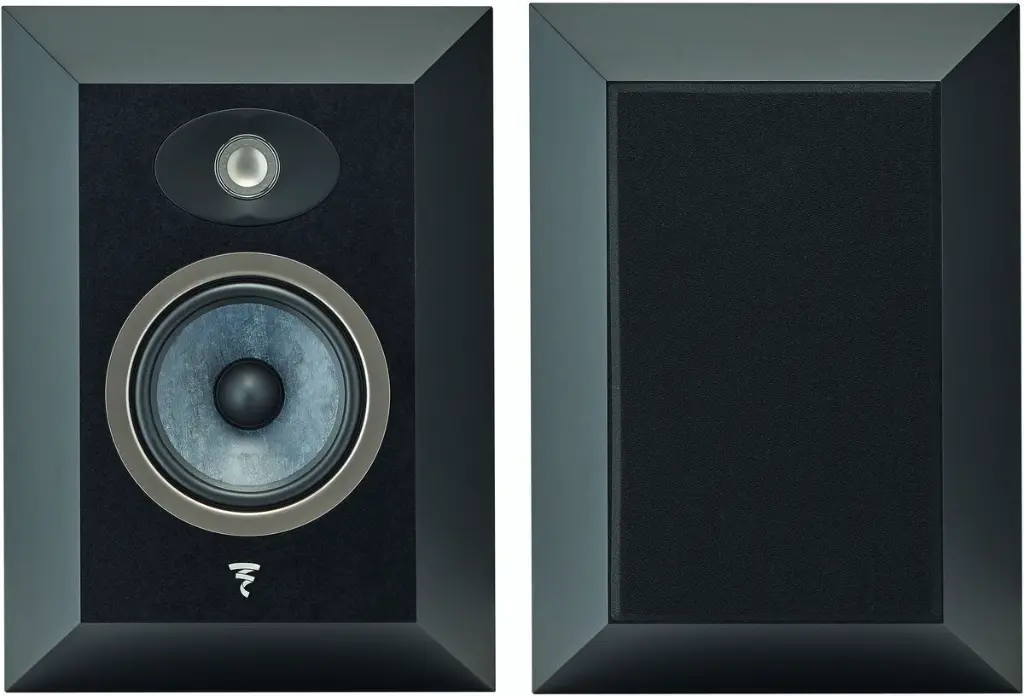 Focal Theva Surround 1.webp