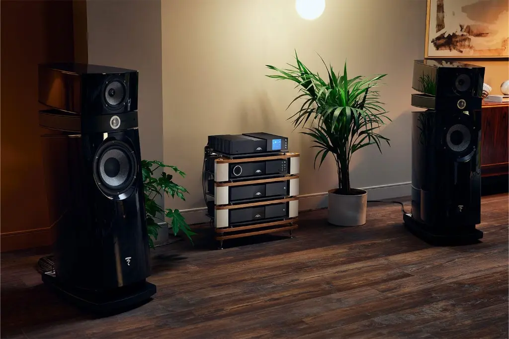 Naim NAP 350 8.webp