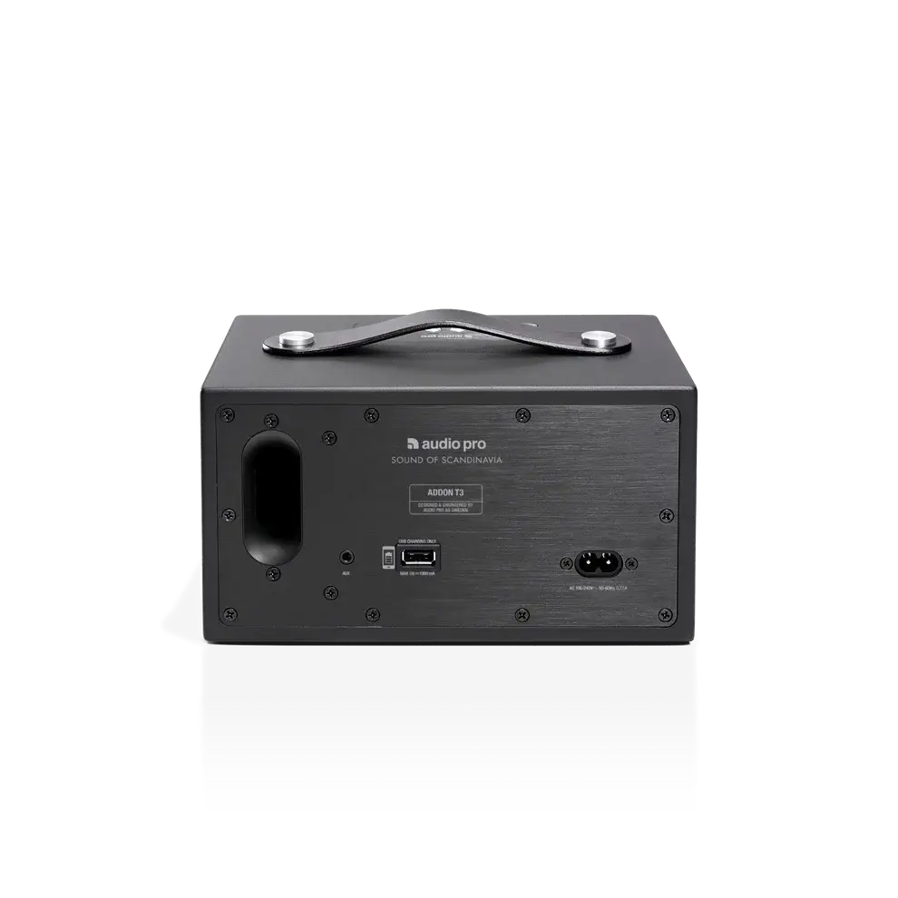 Audio Pro T3+ 2.webp