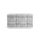 Audio Pro C10 MKII 1.webp