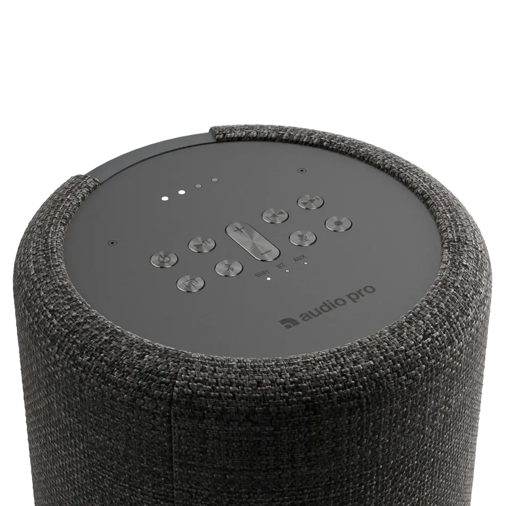 Audio Pro G10 4.webp
