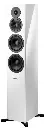 Dynaudio Evoke 50 7.webp