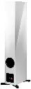 Dynaudio Evoke 50 9.webp