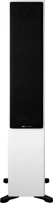 Dynaudio Evoke 50 10.webp