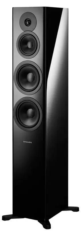 Dynaudio Evoke 50 12.webp