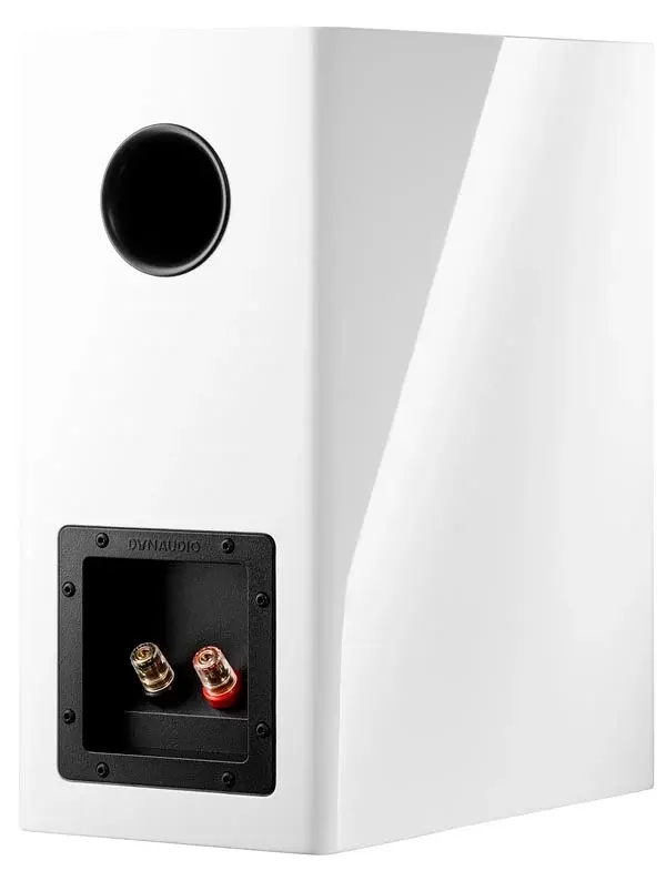 Dynaudio Evoke 20 9.webp