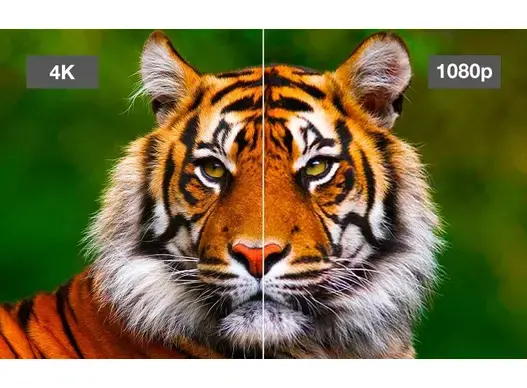 Epson EH-LS11000W 8.webp