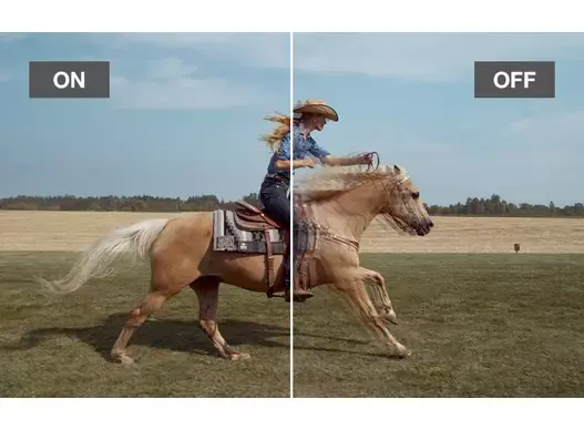 Epson EH-LS11000W 10.webp