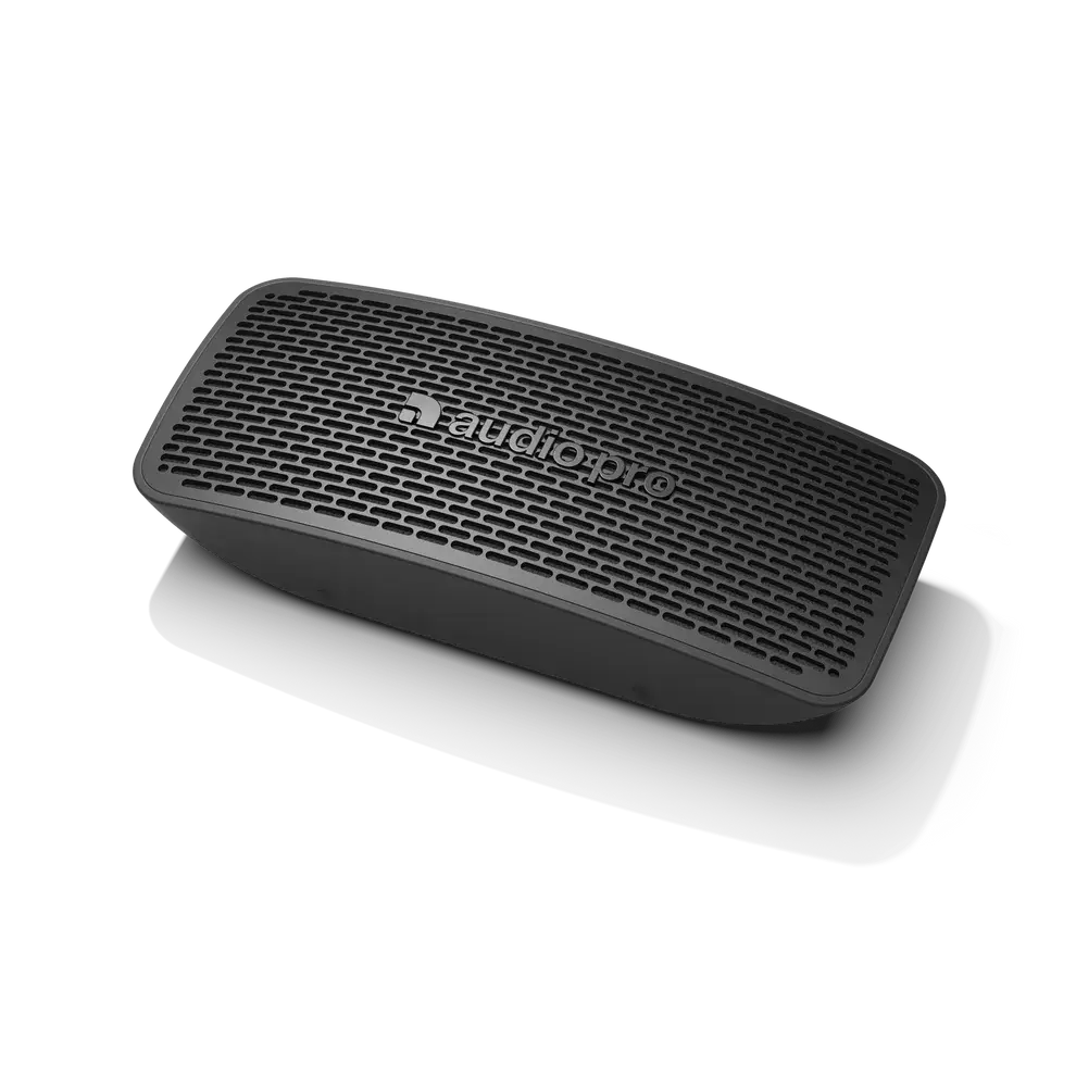 Audio Pro P5 6.webp