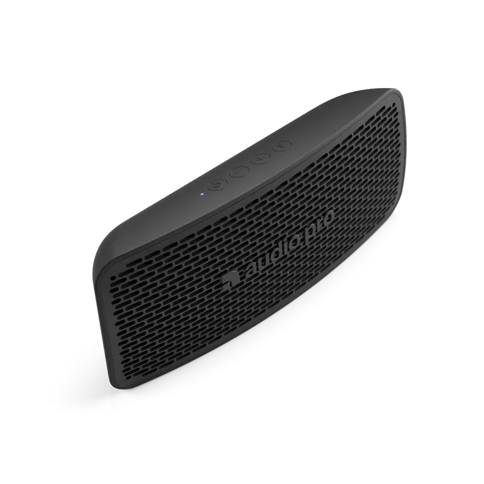 Audio Pro P5 5.webp