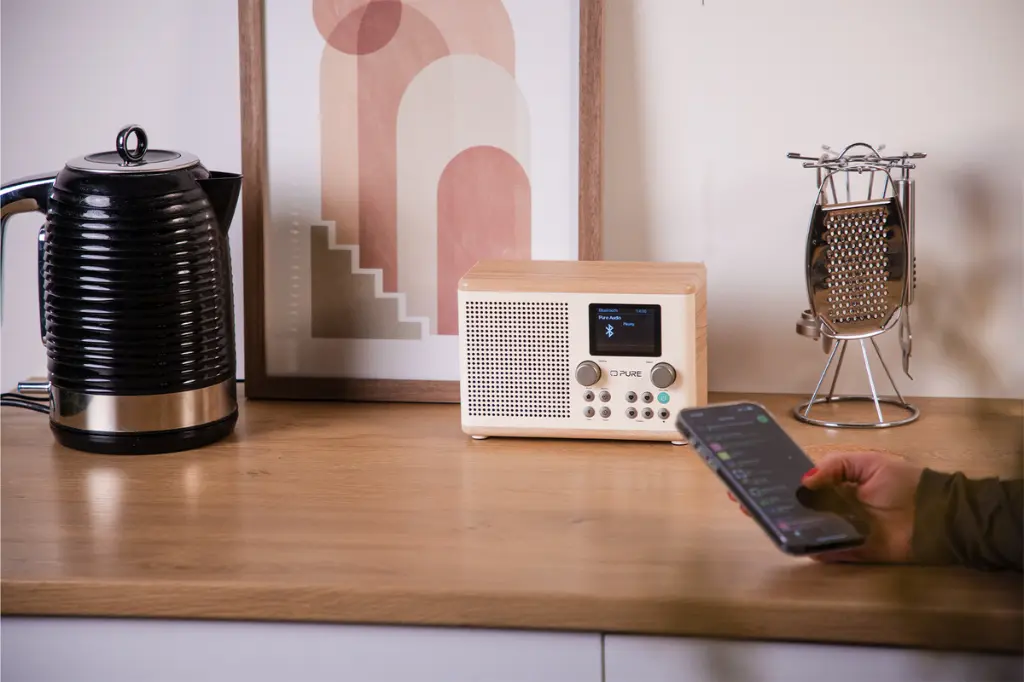 Pure Classic H4 6.webp