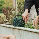 Pure Woodland 8.webp