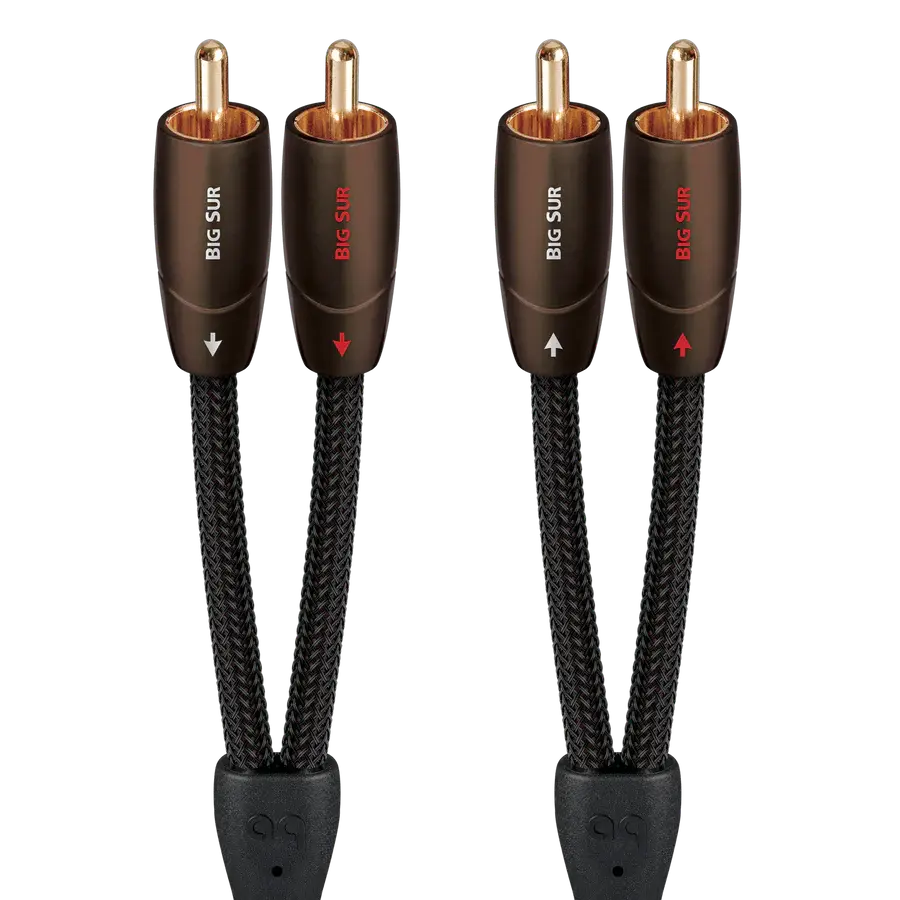 audioquest-big-sur-rca-rca-bigsur06r-06-m-1-ft-11-in-432574.webp