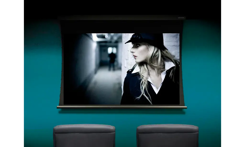 Lumene Coliseum UHD-4K Acoustic 6.webp