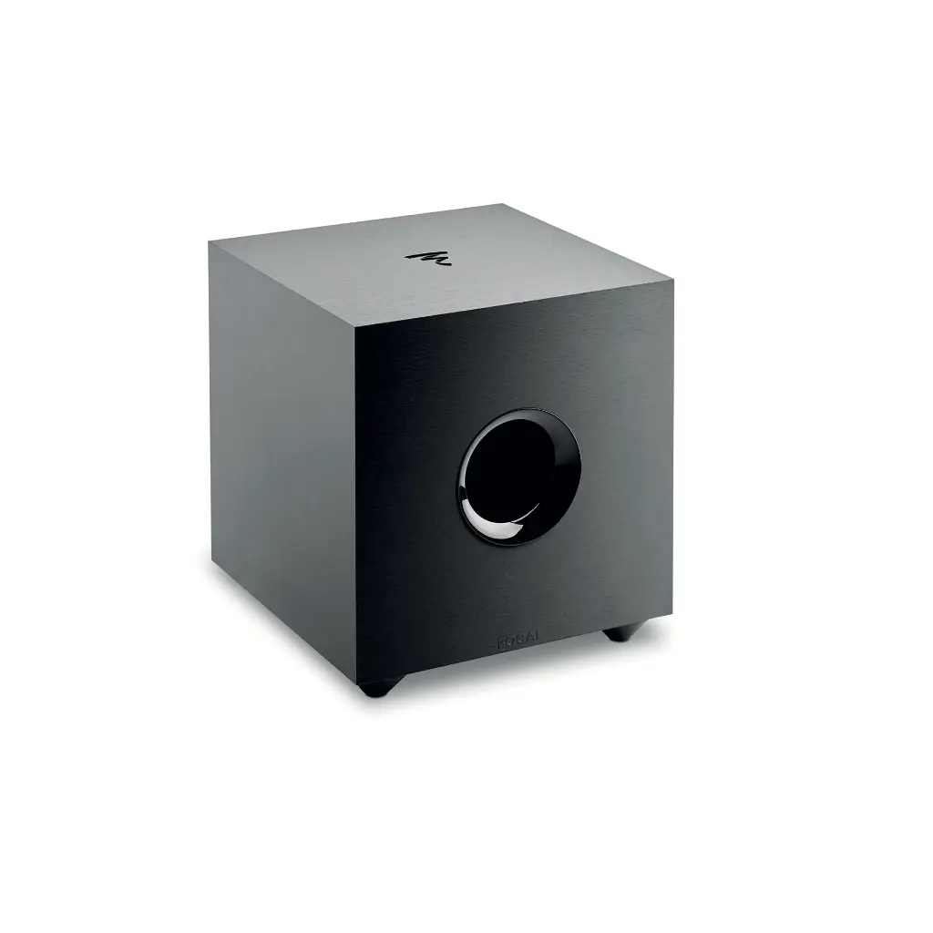 Focal Cub Evo 2.webp