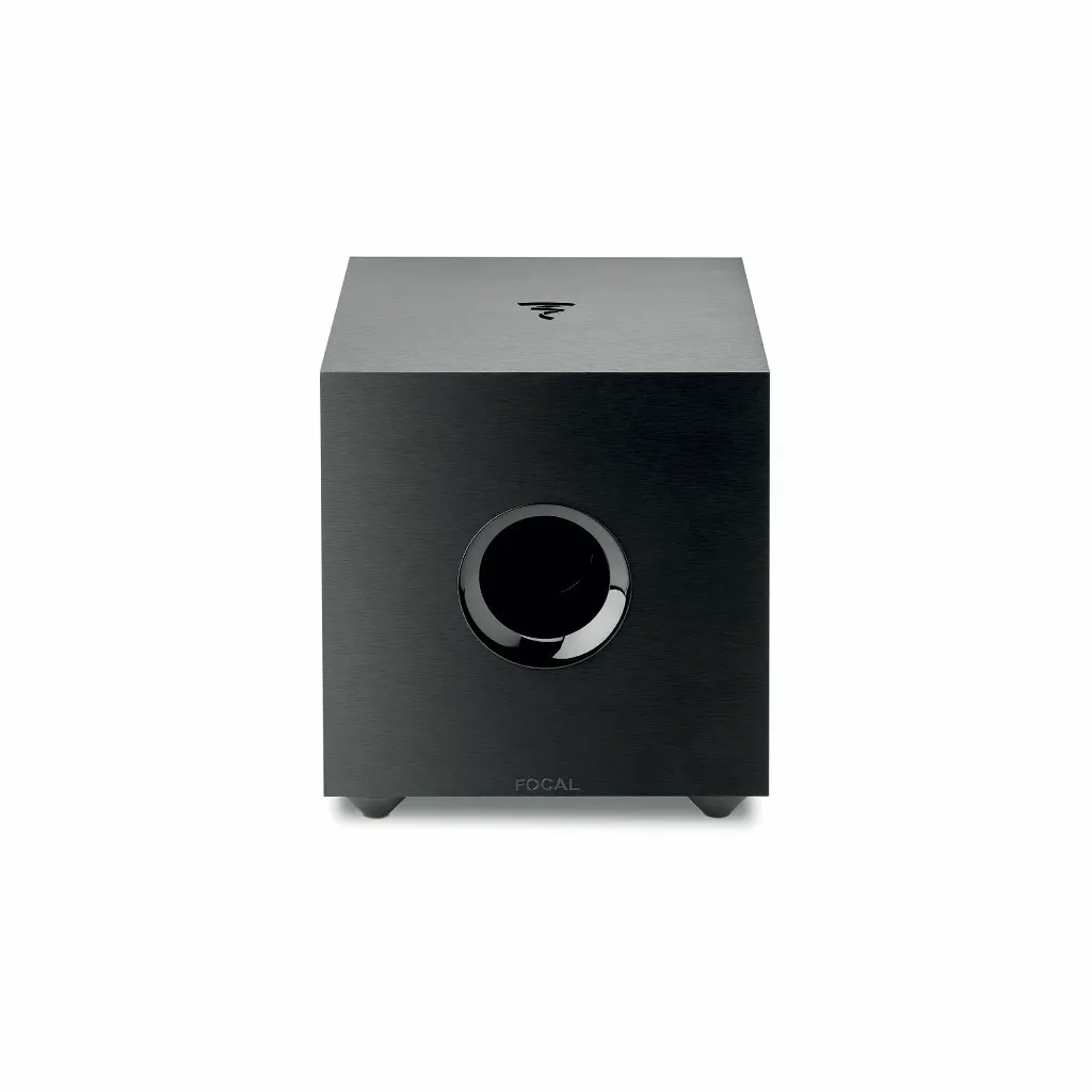 Focal Cub Evo.webp