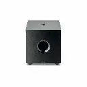 Focal Cub Evo.webp