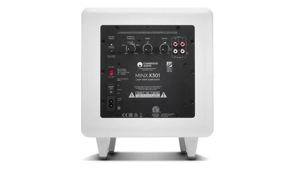 Cambridge Audio Minx X301 9.webp