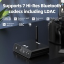 FiiO BR13