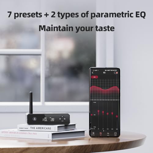 FiiO BR13
