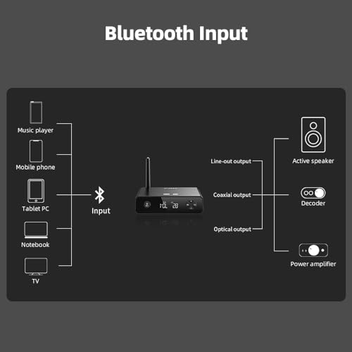 FiiO BR13
