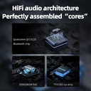 FiiO BR13