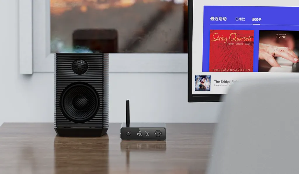 FiiO BR13 6.webp