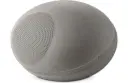  Focal Littora 200 OD STONE  8