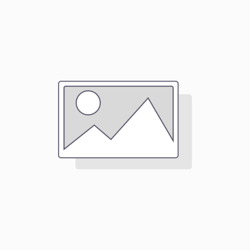 AudioPro Addon T3+