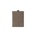 ifi Audio hip-case 3