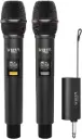 Vieta Pro Party Mic Duo