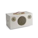 Audio Pro C10 MKII W