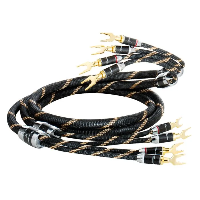 Vincent Speaker cable